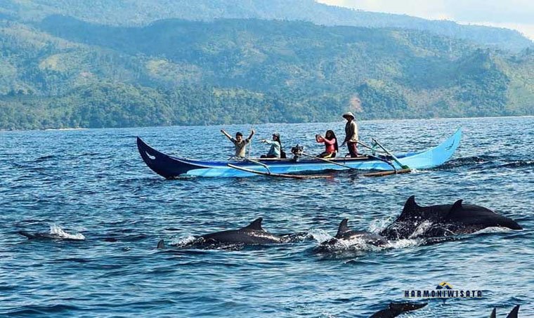 Teluk Kiluan Eco Tourism