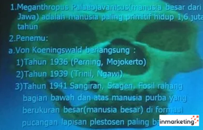 fosil manusia 2,6 juta tahun