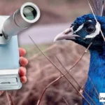 vivo X300 Ultra teleconverter dual lens