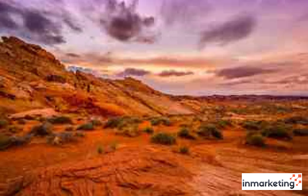 wisata gurun ekstrem Amerika