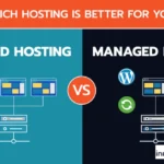 shared vs managed wordpress hosting