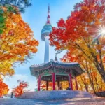 Menara Seoul, Ikon Namsan yang Menyimpan Wajah Kota dari Ketinggian